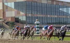 Regulation of U.S. racing: a letter that makes shocking reading