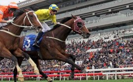 Werther ready for the young guns in prep for Hong Kong International Races