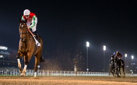 Ice cold in Dubai: the secret weapon of the UAE’s hottest trainer