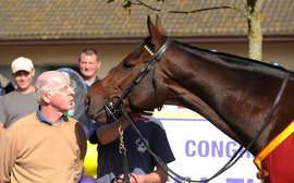 What They’re Thinking: the thoughts of master trainer John Oxx