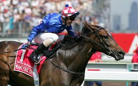 Melbourne Cup-winning mares who’ve shone at stud - and those who haven’t