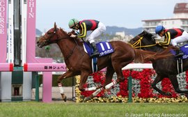 Is this Orfevre’s first step on the road to becoming a super stallion?