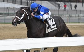 Could this finally be Godolphin’s year in the Kentucky Derby?
