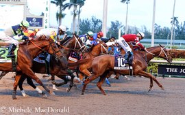 What does the future hold for the Pegasus World Cup? 