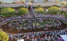 Breeders’ Cup in aftercare partnership with TAA