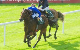 Red-hot Dubawi’s astonishing week the best ever