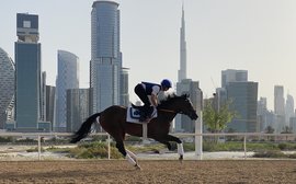 The blue-blooded 2-year-olds readied for the European season in the heart of Dubai