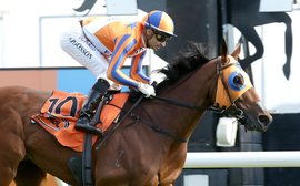 Brave Melody Belle will be ‘very competitive’ in red-hot Queen Elizabeth 