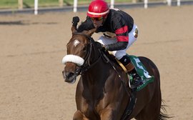 Inflexibility stretching out for Queen’s Plate