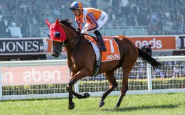 We just can’t wait to see her, say owners as star mare’s Aussie campaign is cut short