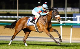 Lord Kanaloa may soon challenge Frankel as the hottest recent addition to the stallion ranks