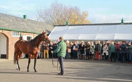Charity auction features nominations to Kingman, Gleneagles and other top young stallions