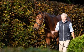 Coolmore’s key role as the bloodstock world ups its game in the face of the pandemic