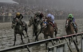 So how WILL this remarkable Preakness be remembered?