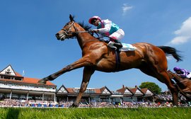 Could a new star emerge from the race that put Enable on the road to greatness?
