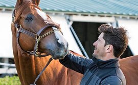 California Chrome, second careers and the lure of the polo field