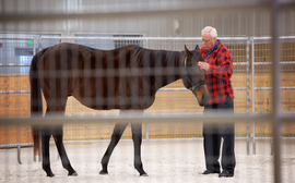 The challenge facing an equine therapy center helping trauma victims turn their lives around