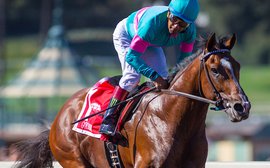 Why Gormley looks a strong contender for the Santa Anita Derby