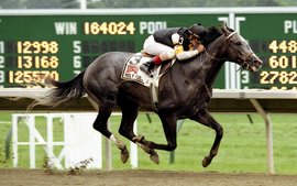 The day Holy Bull gave everything he had to win the Travers