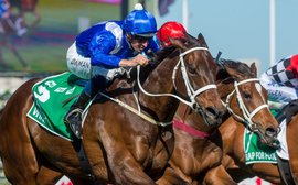 How Winx was able to run faster for longer than most other horses