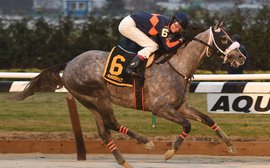 Road to the Kentucky Derby: El Areeb thrives in testing conditions