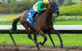 Road to the Kentucky Derby: Baffert has something to work with in Mastery