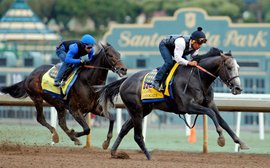 Stars of the Breeders’ Cup: how America’s trainers measure up