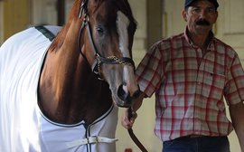 Art Sherman: bracing himself for life without California Chrome