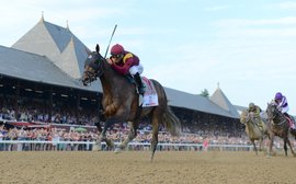 Travers: why a horse like Catholic Boy is almost as hard to find as a Triple Crown winner