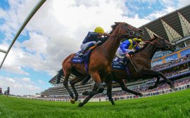 Breeders’ Cup: there’s no horse better qualified than this to run there this year