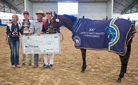 Huge increase in trainers applying to enter retired horses for Thoroughbred Makeover