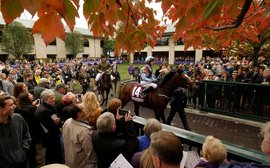 Keeneland: a unique and powerful force for the industry