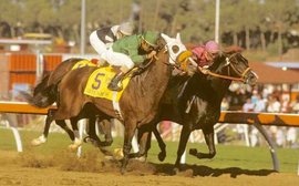 Breeders’ Cup: re-live that momentous first meet 35 years ago