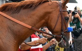 How the shadow of Justify looms large over the BC Classic