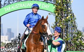 A life after racing: Aussie star Cascadian joins Godolphin Lifetime Care program