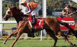 Caulfield Cup-bound Gingernuts still looks to be improving