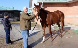 Pink Lloyd on target for another perfect season as it’s back to work at Woodbine