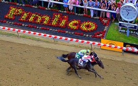 Preakness master plan proves Chad Brown is a huge force on dirt too 