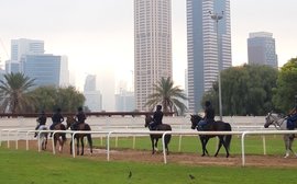Dubai’s brave new world where smaller owners can mix it with the Maktoums
