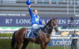 Winx is your World Horse of the Decade