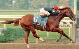 Was there ever a horse who could have beaten Easy Goer on Gotham day?