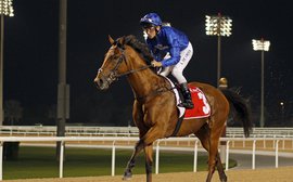 Could this be Saeed Bin Suroor’s eighth Dubai World Cup winner?