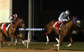 Long River is no forlorn hope for the Dubai World Cup