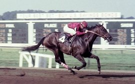 Kentucky Derby: How the Secretariat family flame burns bright with Epicenter and Simplification – all thanks to Tweak
