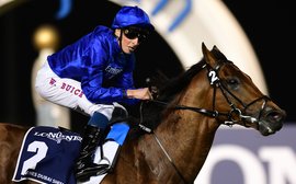 Relentlessly progressive: the rise and rise of William Buick