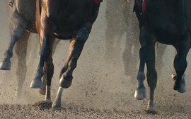 U.S. racing can significantly reduce horse fatalities, but do we have the courage to do it?