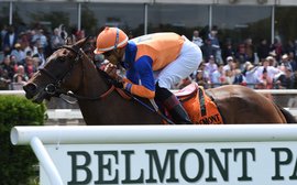 Baffert, Brown and Pletcher: how the Big Three measure up on our stats