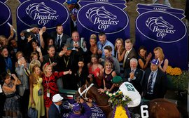 2016 Breeders' Cup: Who are your picks?