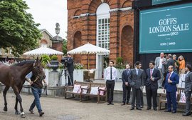 Entries open for Goffs London Sale on the eve of Royal Ascot