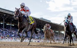 The best races on turf and dirt in 2019